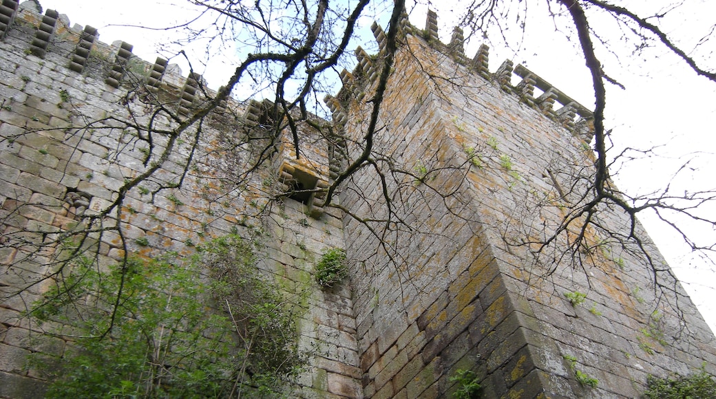 « Château de Pambre», photo de José Antonio Gil Martínez (CC BY) / rognée de l’originale
