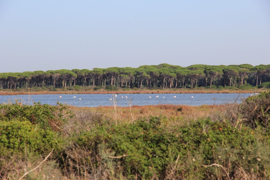 Terralba - Peschiera di Marceddì