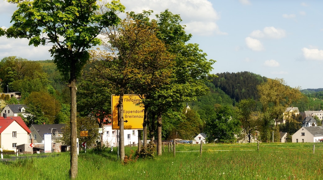 "Falkenau"-foto av Aka (CC BY-SA) / Urklipp från original