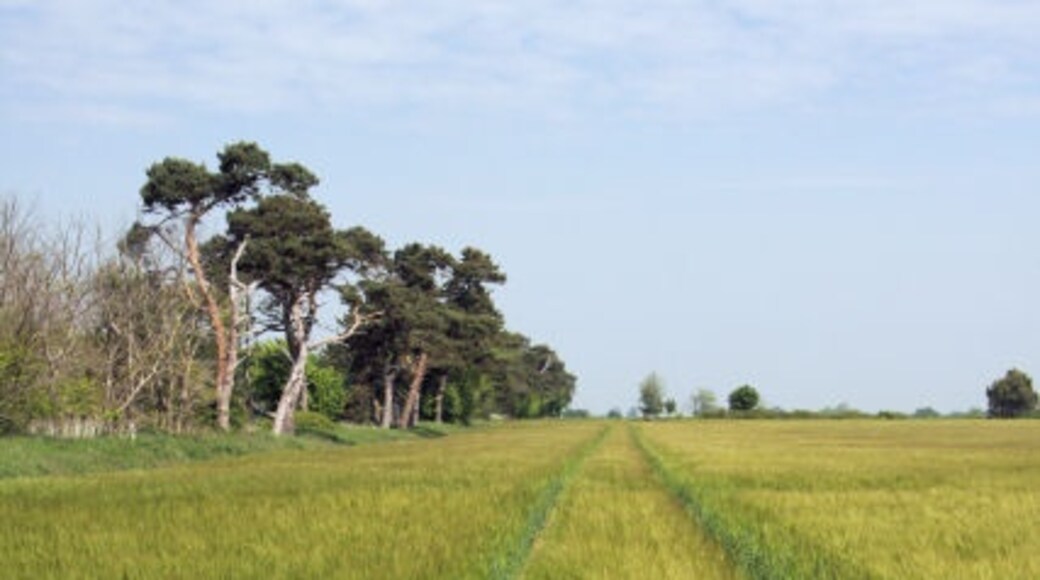 Foto „Ramsholt“ von Bob Jones (CC BY-SA)/zugeschnittenes Original