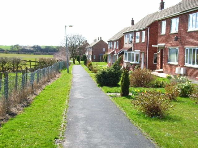 Bridge View, Fishburn Not too certain which bridge it is these houses are supposed to have a view of.