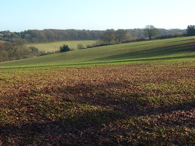 Billede "Chartridge" af Andrew Smith (CC BY-SA) / beskåret fra det originale billede