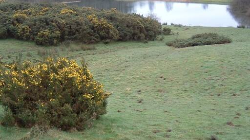 Foto “Oulston” tomada por Paul Allison (CC BY-SA); recorte de la original