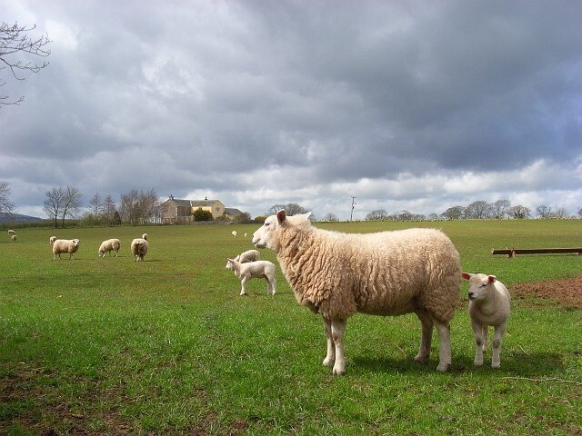 Photo "Castle Sowerby" by Andrew Smith (CC BY-SA) / Cropped from original