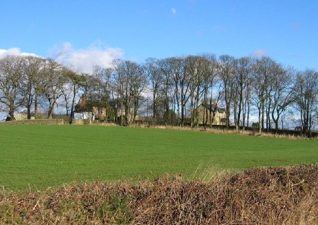 Ogle Hill Head. For Ogle 'Castle' (actually a Manor House) see NZ1479 and for a bit of Ogle history see: http://www.ogles.org/ogle.htm