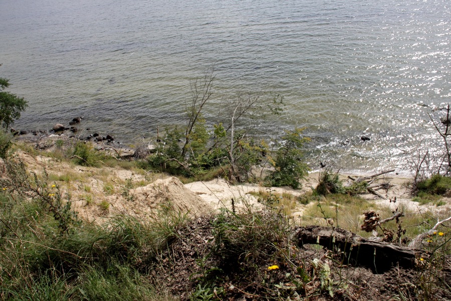 Insel Vilm: Steilufer im Osten des Großen Vilm.