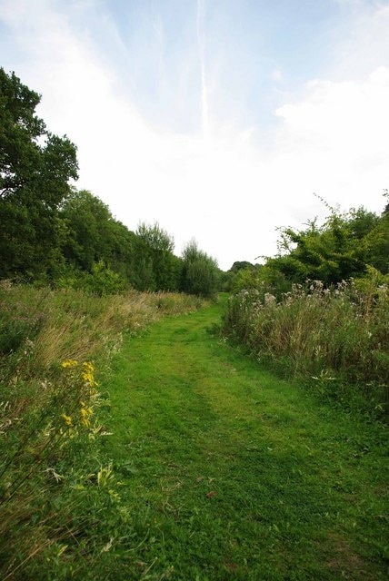 Foto "Stock" de Glyn Baker (CC BY-SA) / Recortada de la original