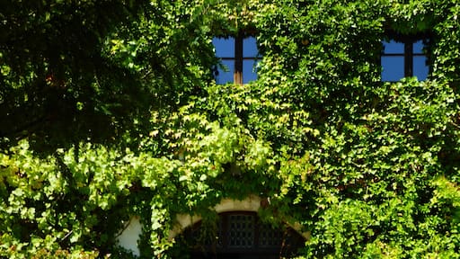 Foto "Kirchdorf am Inn" di luckyprof (CC BY-SA) / Ritaglio dell’originale