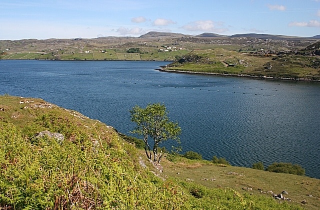 Loch Inchard The headland across the loch is just in this square, but the cottages at Achriesgill beyond are not.