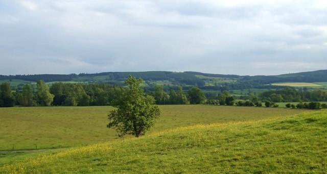 Foto “Thornton Steward” tomada por Gordon Hatton (CC BY-SA); recorte de la original