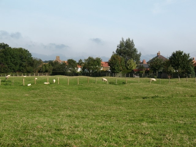 Foto „Newby Wiske“ von Gordon Hatton (CC BY-SA)/zugeschnittenes Original