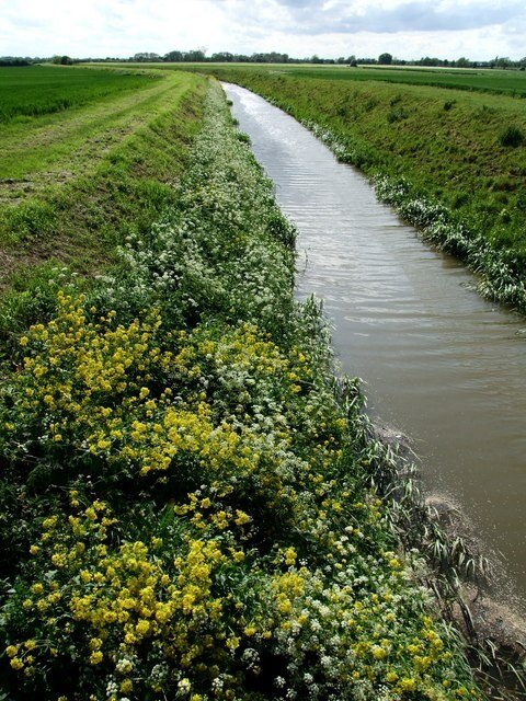 Foto „Toynton St Peter“ von Dave Hitchborne (CC BY-SA)/zugeschnittenes Original