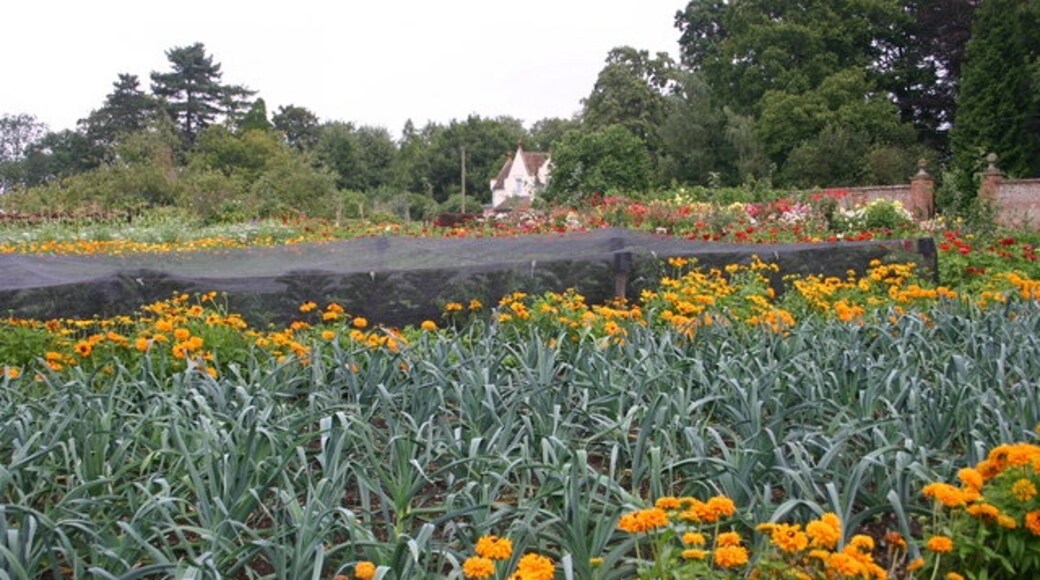 Foto "Middle Claydon" de Shaun Ferguson (CC BY-SA) / Recortada de la original