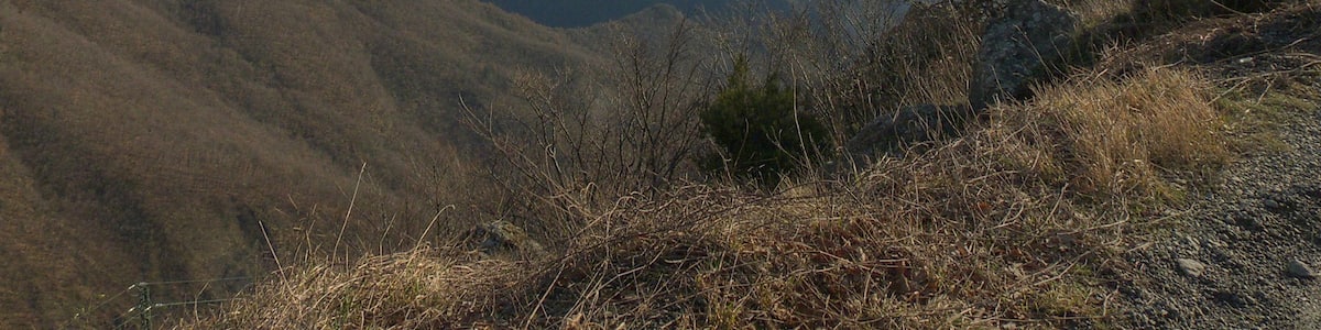 Photo "Monte Zatta, tra le nuvole" by Terensky (Creative Commons Attribution 3.0) / Cropped from original