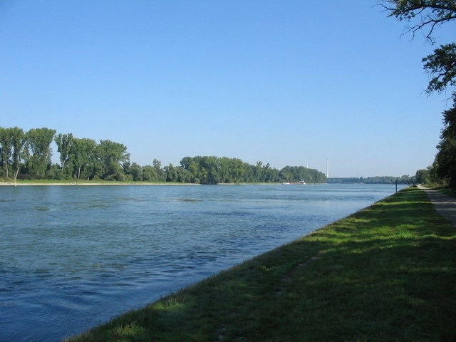 Rhein bei Neuburgweier