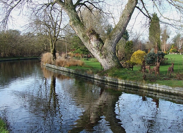 Staffordshire and Worcestershire Canal, Ashwood The neatly manicured private gardens are a fine advertisement for Ashwood Nurseries and Garden Centre, the most attractively landscaped in the region. Note the twig and branch sculptured deer under the big tree.