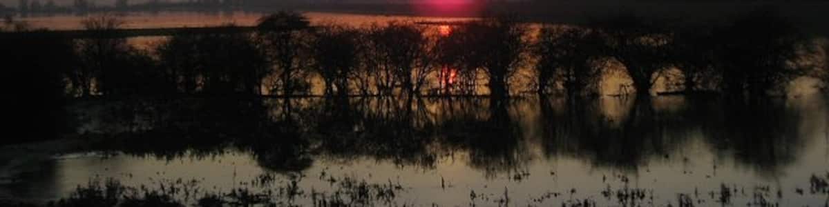 Photo "Setting sun over the Hundred Foot Washes The partially submerged hedgerow is the only sign that in summer this land is used for grazing. In the winter, as now, the area is allowed to flood." by Alison Rawson (Creative Commons Attribution-Share Alike 2.0) / Cropped from original