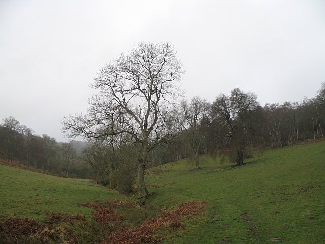 Foto „Richard's Castle“ von Richard Webb (CC BY-SA)/zugeschnittenes Original