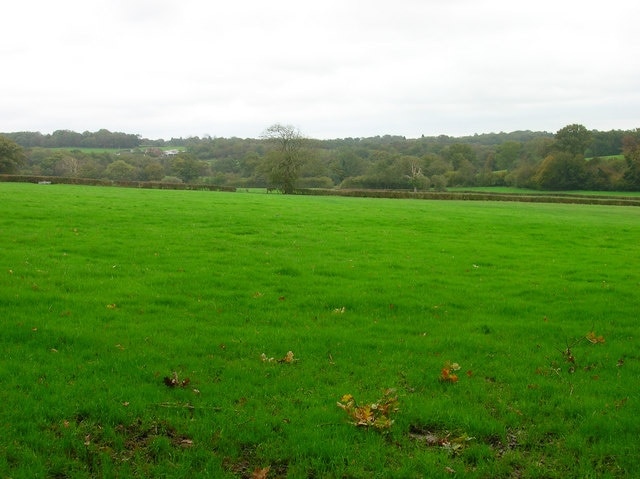 Weald near Horam Hook's Farm can just be made out to the left. Taken from Roughland Wood.