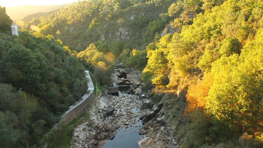 Photo "Presa de Eiras, en Fornelos de Montes (Galicia, España). Desde su inauguración en 1977, este embalse suministra agua a Vigo, la principal ciudad de la región. La presa está situada en el curso del río Oitavén. En el momento de hacer estas fotos, el embalse estaba al 50% de su capacidad (22 hm3). Eiras Dam Eiras Dam, in Fornelos de Montes (Galicia, Spain). Since its opening in 1977, this reservoir supplies water to Vigo, the main city in the region. The dam is located on the river Oitavén. At the time of these photos, the reservoir was at 50% capacity (22 hm3)." by Contando Estrelas (Creative Commons Attribution-Share Alike 2.0) / Cropped from original