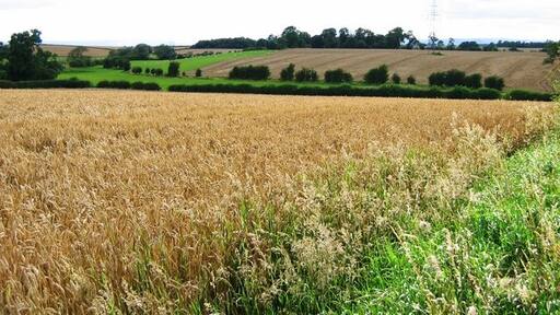 Billede "Little Smeaton" af Graham Scarborough (CC BY-SA) / beskåret fra det originale billede