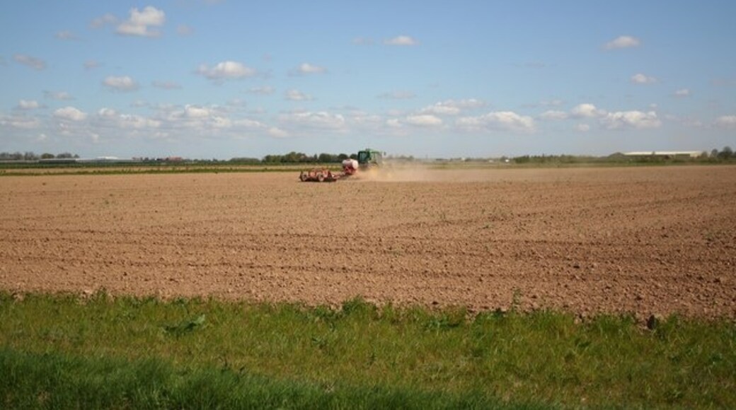 Kuva ”Butterwick” käyttäjältä Richard Croft (CC BY-SA) / rajattu alkuperäisestä kuvasta