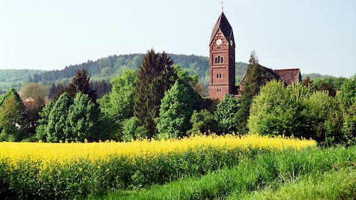 Billede "Rehlingen-Siersburg" af Dguendel (page does not exist) (CC BY) / beskåret fra det originale billede