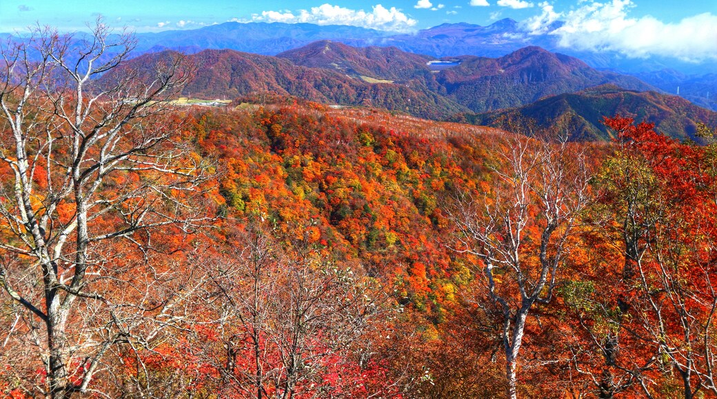 Billede "Kirifuri Højland" af くろふね (CC BY) / beskåret fra det originale billede