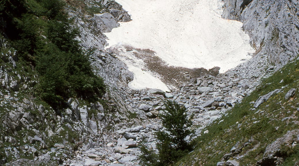 Foto "Sanchèse Plateau" oleh Daniel VILLAFRUELA (CC BY-SA) / Dipotong dari foto asli