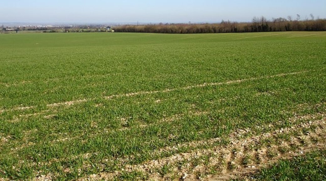 Photo "Bredgar" by Penny Mayes (CC BY-SA) / Cropped from original