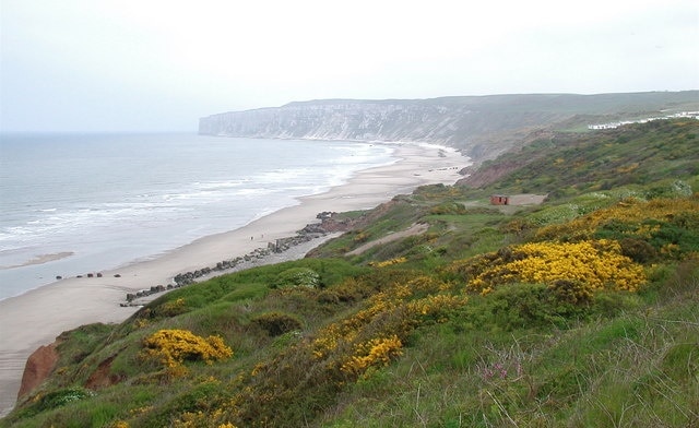 Boat Cliff, Reighton Looking east-southeast towards Reighton Gap and Speeton Sands from the cliff top at Reighton Moor.