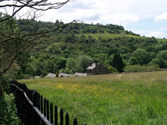 Olive Mill from Wisewood Cemetery