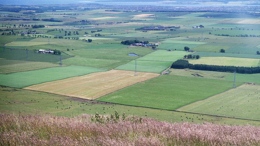 View from Craigowl Hill, Sidlaws in 1986 (1 of 2). You can just about make out Dundee in the distance.