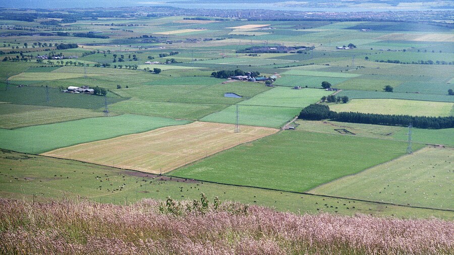 Photo "View from Craigowl Hill, Sidlaws in 1986 (1 of 2). You can just about make out Dundee in the distance." by Laerol (Creative Commons Attribution-Share Alike 4.0) / Cropped from original