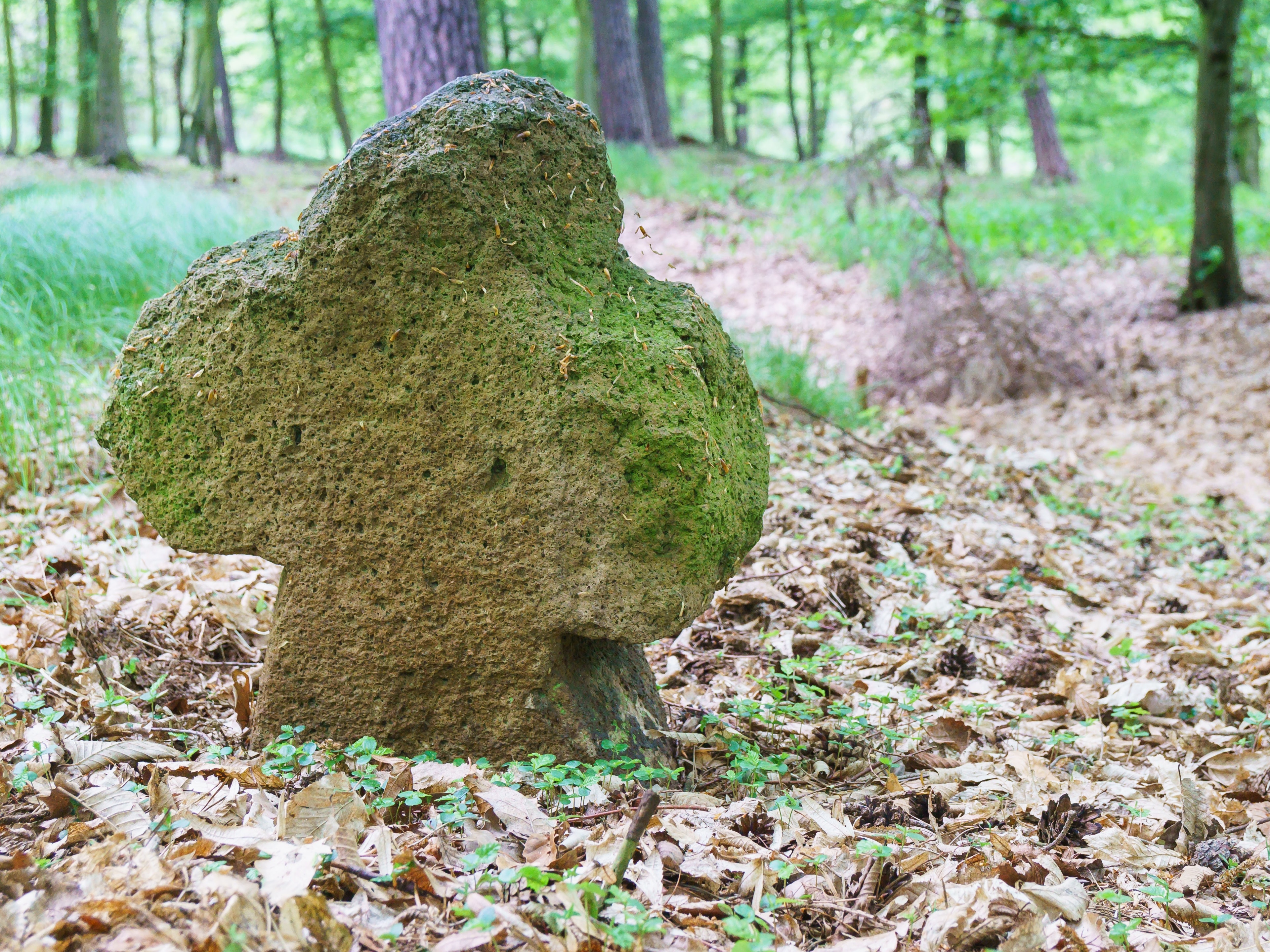 Photo "Kleinbothen" by Radler59 (CC BY-SA) / Cropped from original