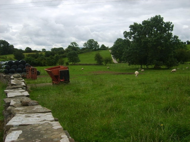 Farming at Winton Sheep grazing in a field yards from the village centre