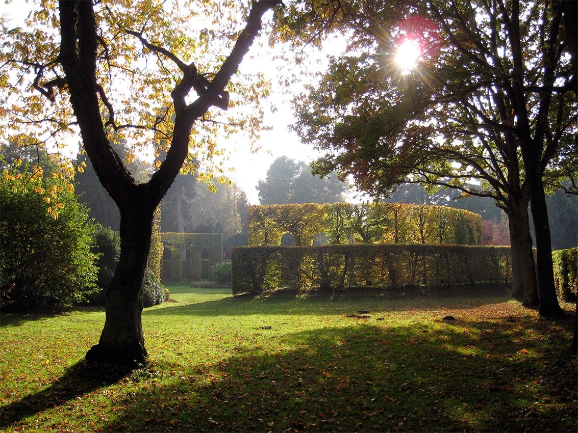 Photo &quot;Oberneuland&quot; by Till F. Teenck (CC BY-SA) / Cropped from original