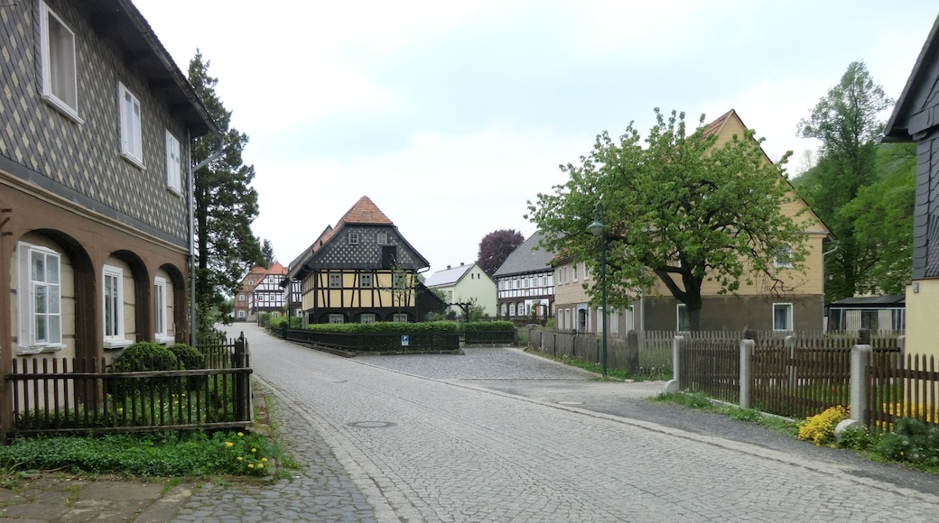Foto "Grossschönau" por Ubahnverleih (CC BY) / Recortada de la original