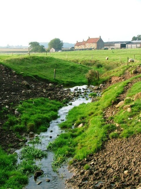 Foto “Crosby” tomada por Mick Garratt (CC BY-SA); recorte de la original