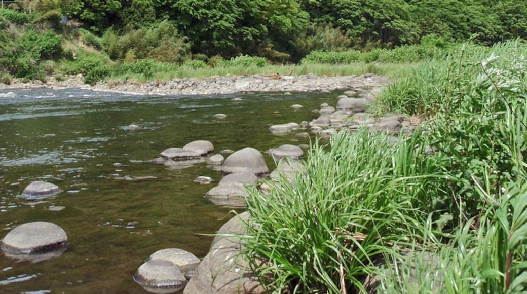 Mount Joyama, Izunokuni, Shizuoka pref., Honshu, Japan.