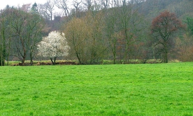 "Middleton-on-Leven"-foto av Mick Garratt (CC BY-SA) / Urklipp från original