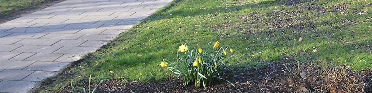 Photo "Kurpark Rothenuffeln" by Aeggy (Creative Commons Attribution-Share Alike 3.0) / Cropped from original
