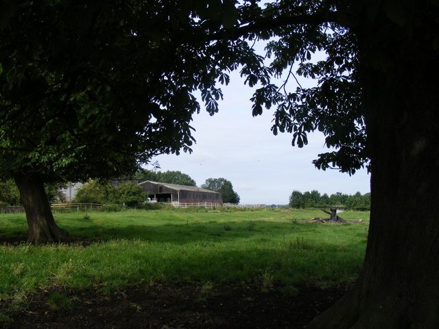 Foto “Kingsey” tomada por David Sands (CC BY-SA); recorte de la original