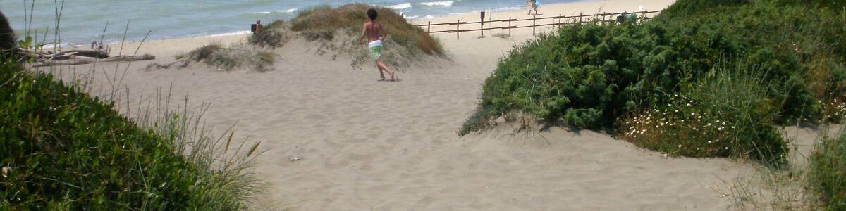 Photo "Spiaggia di Capocotta" by Angela Stefanoni (Creative Commons Attribution 3.0) / Cropped from original