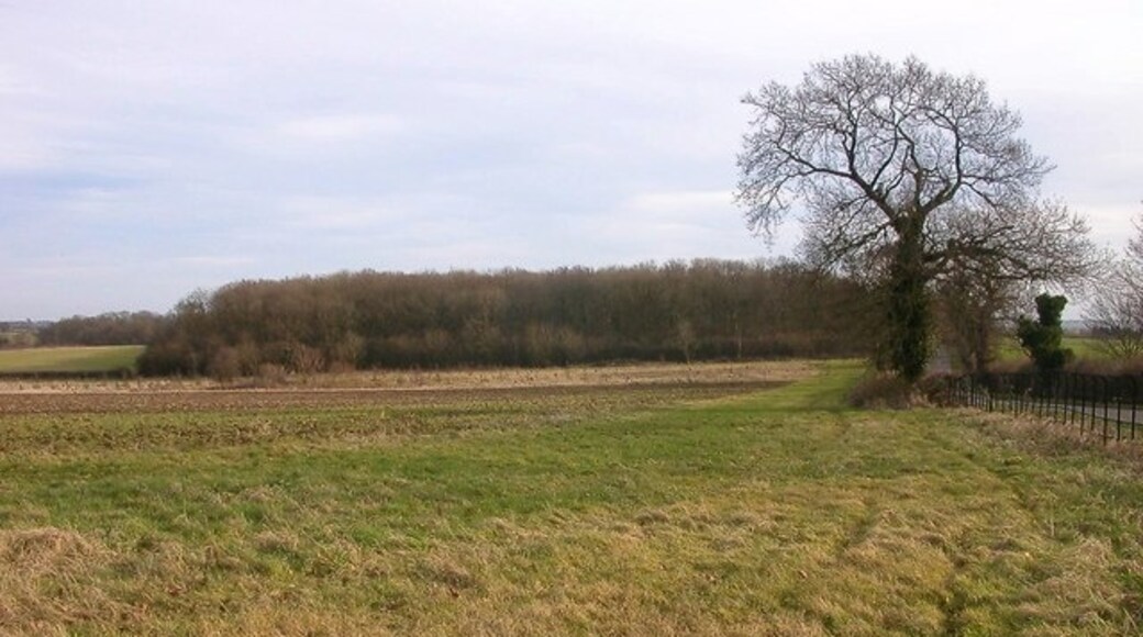 "Cold Higham"-foto av Ian Rob (CC BY-SA) / Urklipp från original