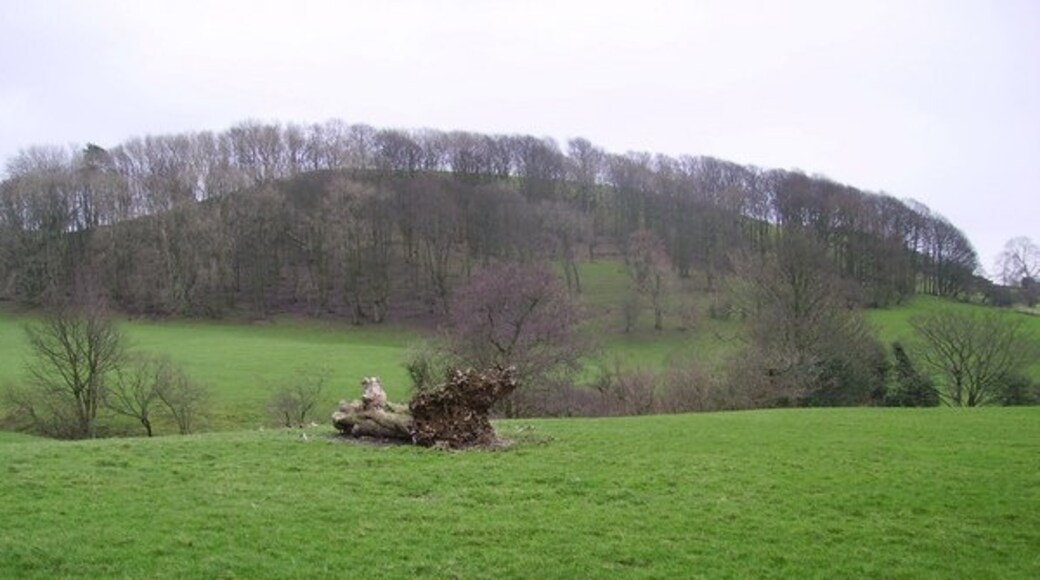 Foto „Preston Patrick“ von Michael Graham (CC BY-SA)/zugeschnittenes Original