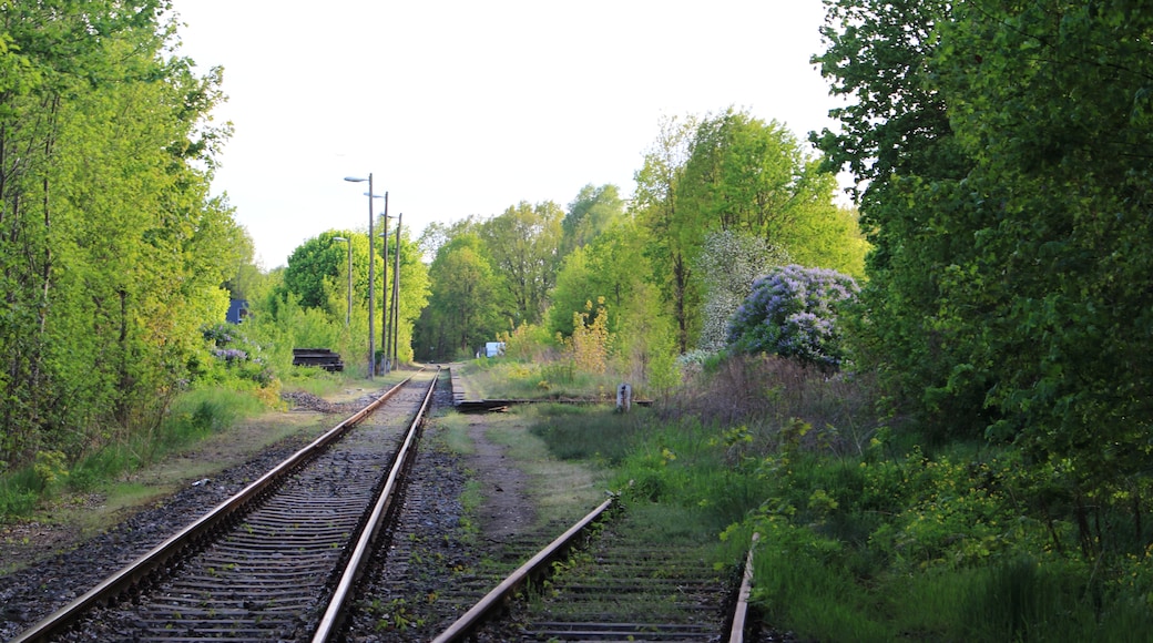 Bahnhof Schildow an der Heidekrautbahn