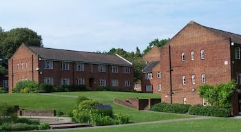 Default Image