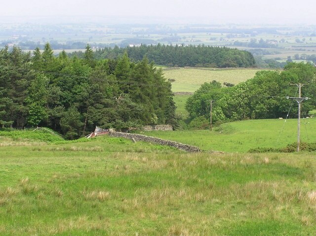 Photo "Dalton" by Hugh Mortimer (CC BY-SA) / Cropped from original