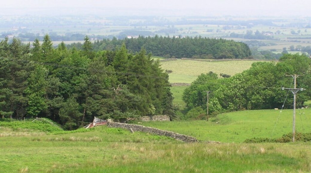 Photo "Dalton" by Hugh Mortimer (CC BY-SA) / Cropped from original